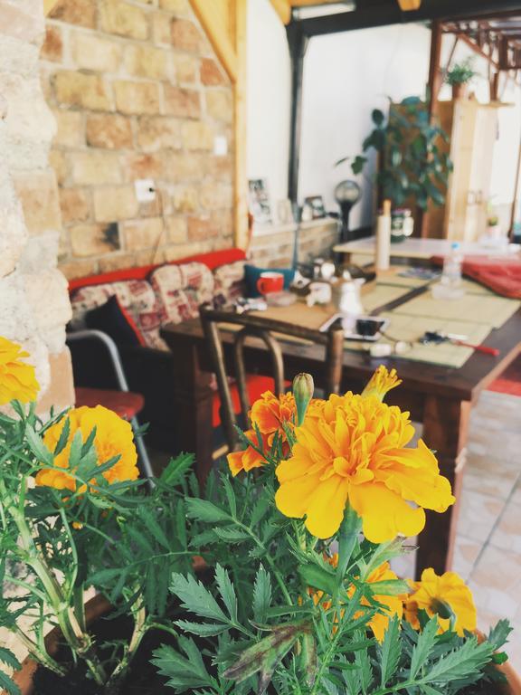Guest House Nizama'S Place SJJ Esterno foto